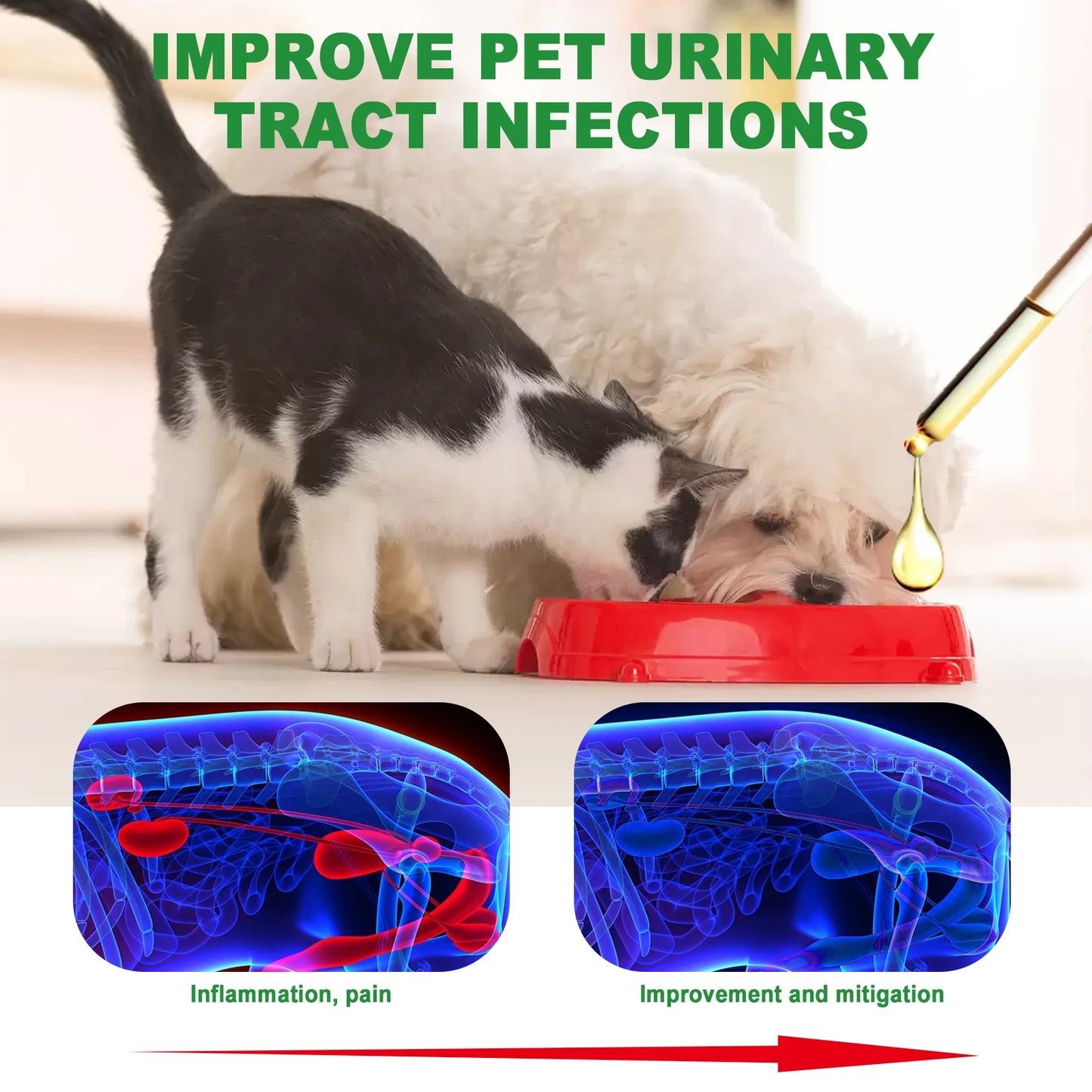 Cranberry Bladder Health Drop Dog Urinary Tract Infection Supplement Bladder Stone Remover Promote Kidney Health Pet Health Care