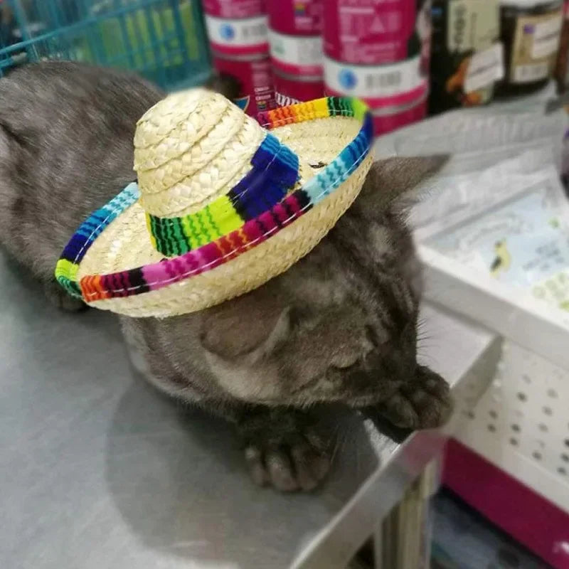 Pet Hat Dog & Cat Straw Sombrero Hat Funny Mexican Sombrero Cap Mini Hat Dog Clothes Pet Caps for Halloween Party Photo Props