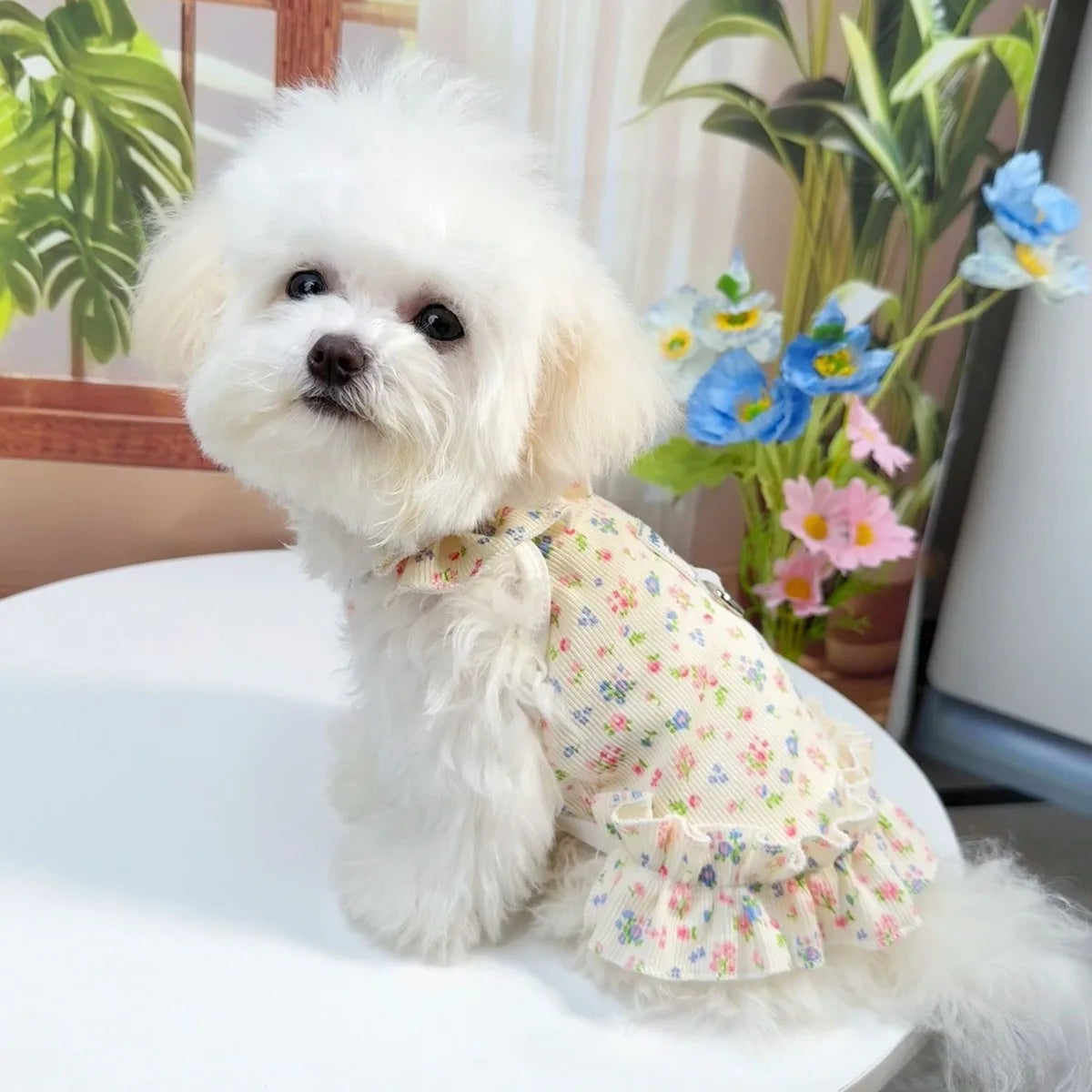 1pc  Dog and Cat Clothes, Pet Clothing, Spring and Summer Floral Dresses, Fresh and Cute Princess Dresses