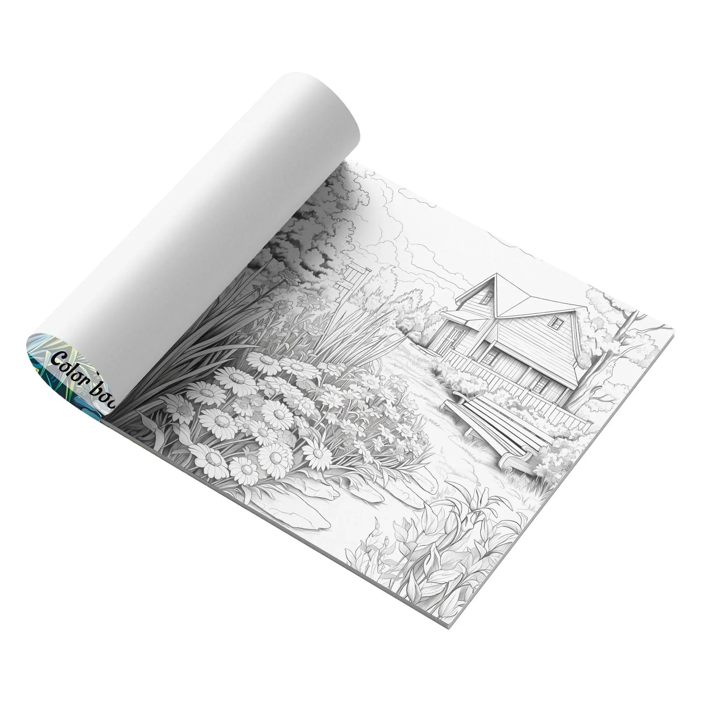 Coloring Books Adult Painting Books Graffiti Painting Picture Books Painting Albums Drawing and Coloring Books