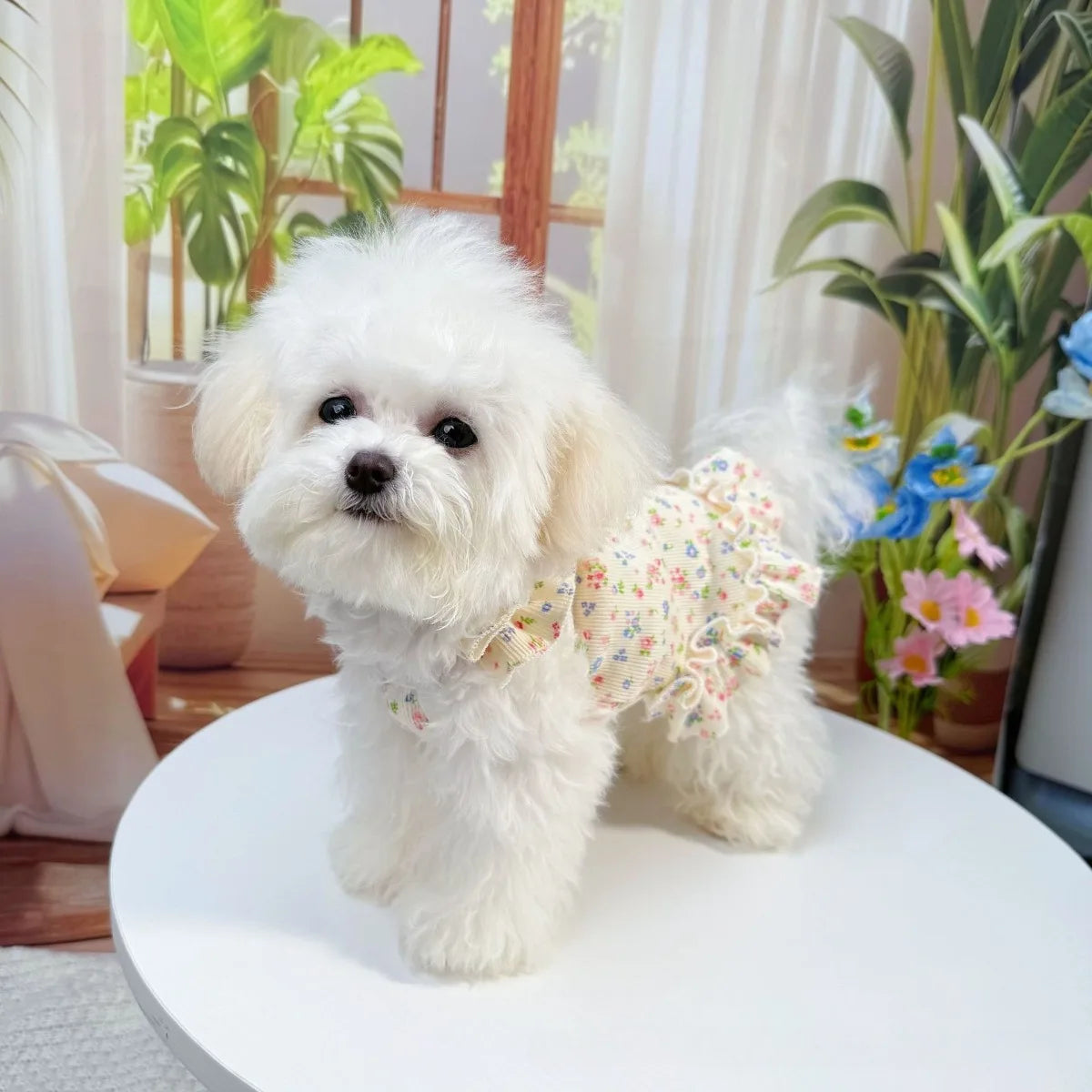 1pc  Dog and Cat Clothes, Pet Clothing, Spring and Summer Floral Dresses, Fresh and Cute Princess Dresses