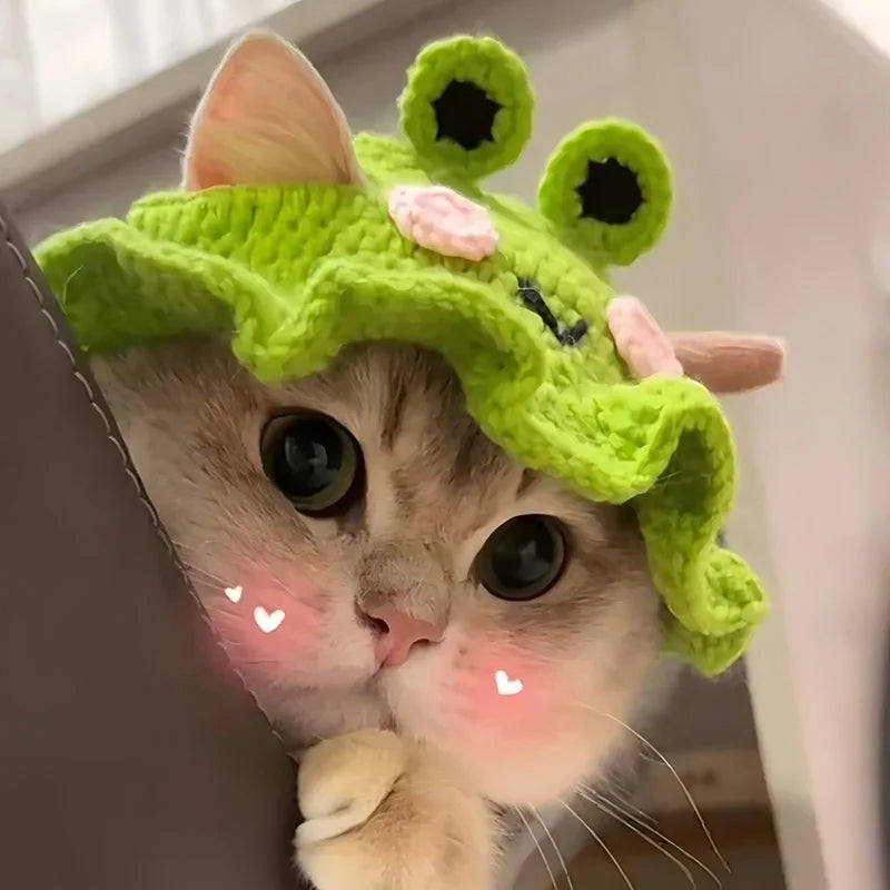 Pet Hat Hand-made Cat Hat Elastic Woven Cap  Puppy Kitten Headwear Knitted Hat Party Photo Shoot Props Decoration Cat Accessorie