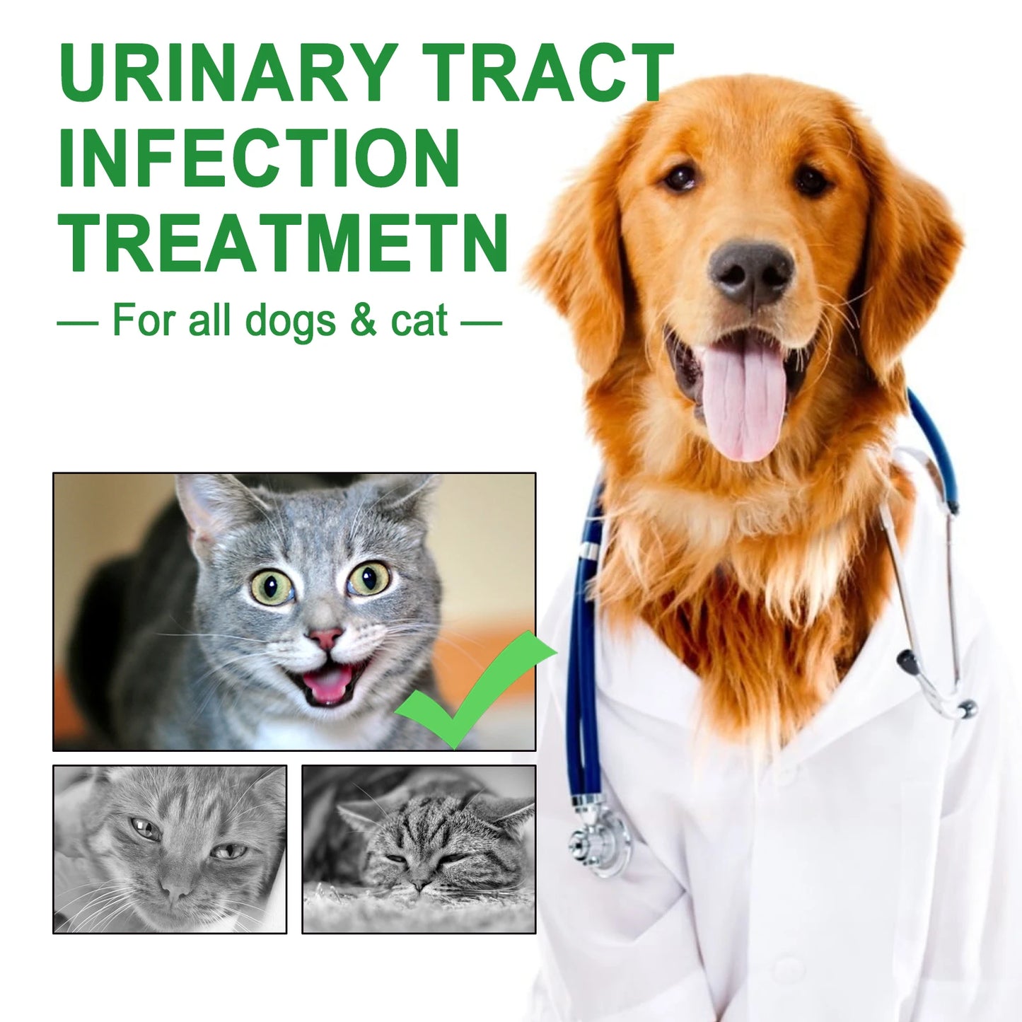 Cranberry Bladder Health Drop Dog Urinary Tract Infection Supplement Bladder Stone Remover Promote Kidney Health Pet Health Care